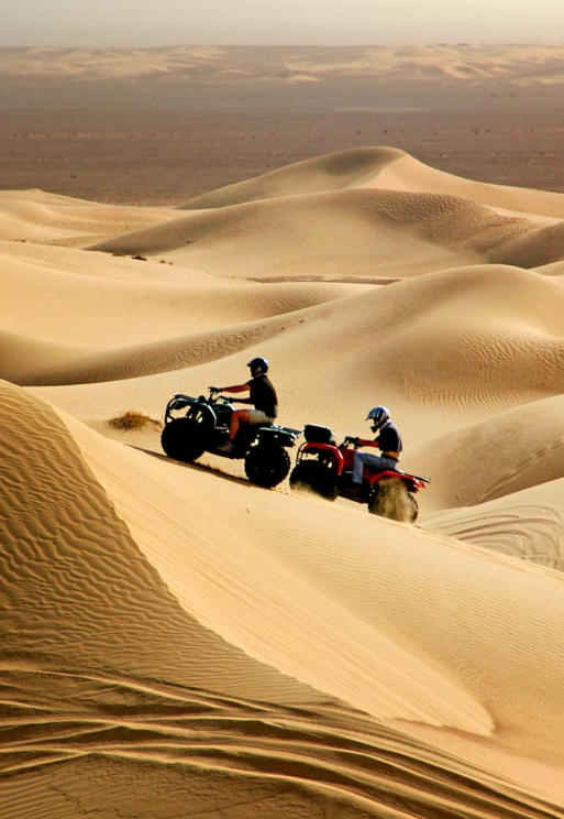 Evening Desert Safari
