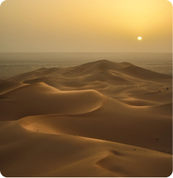 Premium Evening Desert