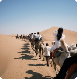 Morning Safari + Buggy